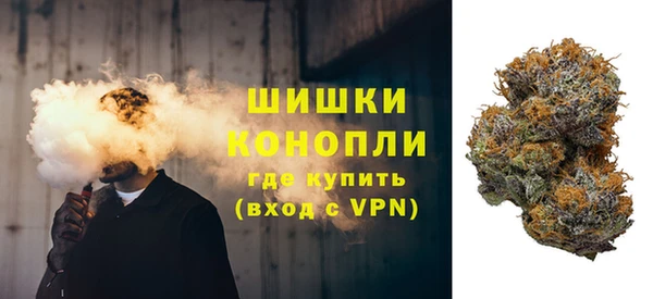стаф Семилуки