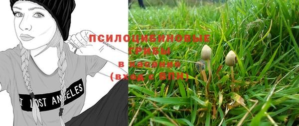 герыч Верея