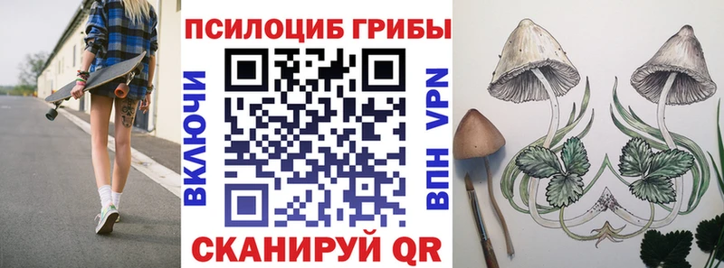 даркнет формула  Можайск  Псилоцибиновые грибы ЛСД 